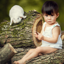 Пазл: Белый кролик