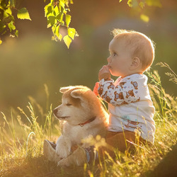 Пазл: Ребенок и щенок