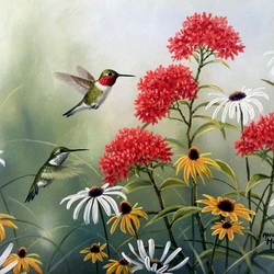 Пазл: Птицы и цветы