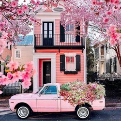 Пазл: Розовая весна