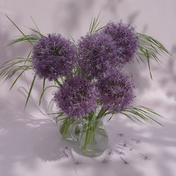 Пазл: Луковая рапсодия