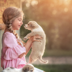 Пазл: Щенок