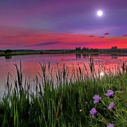 Пазл: Летний вечер