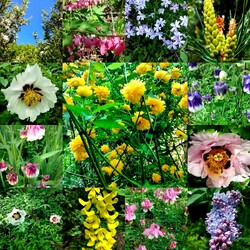 Пазл: Весенний