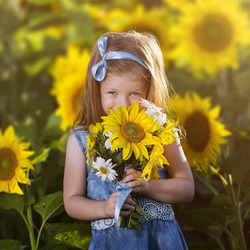 Пазл: Подсолнухи