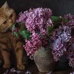 Пазл: Вкусная сирень