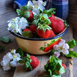 Пазл:  Сладкие ягоды