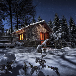 Пазл: Зимняя ночь
