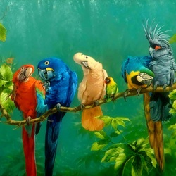Пазл: Разноцветные попугаи