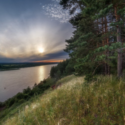 Пазл: Сосны на берегу