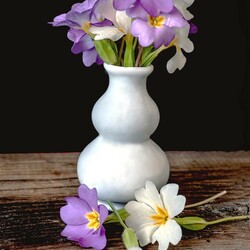 Пазл: Весенние цветы