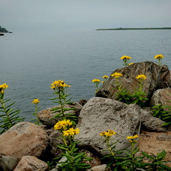 Пазл: Приморский край