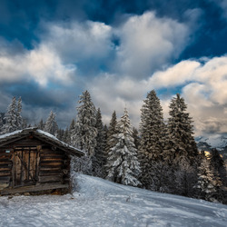 Пазл: Одинокий дом около леса
