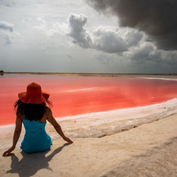 Пазл: Розовое озеро