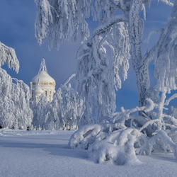 Пазл: Зимняя красота