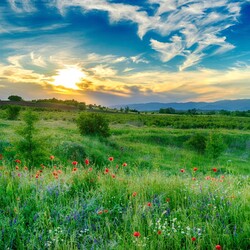 Пазл: Закат 