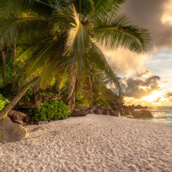 Пазл: Тропический берег