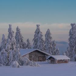 Пазл: Заснеженный дом