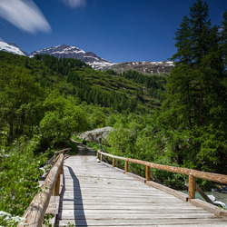 Пазл: Мост среди гор