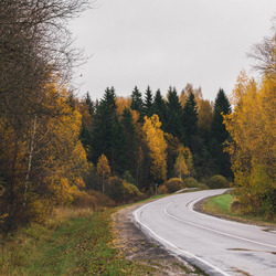 Пазл: Осенняя дорога.