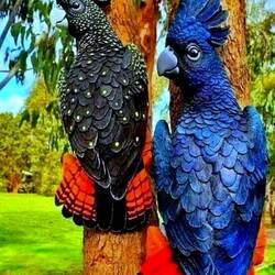 Пазл: Яркие попугаи