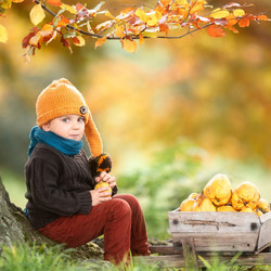 Пазл: Урожай