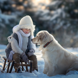 Пазл: Извозчик