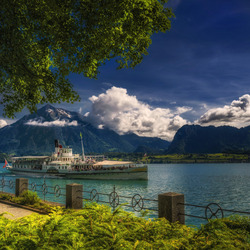 Пазл: Дерево и озеро