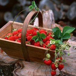 Пазл: Клубничка