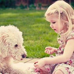 Пазл: Ещё кусочек