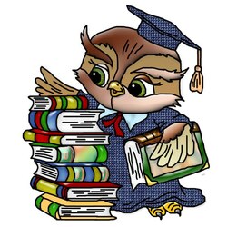 Пазл: Мудрая сова