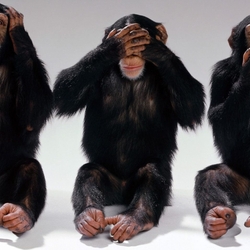 Пазл: Три обезьяны