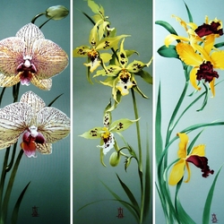 Пазл: Орхидеи  на шелке 