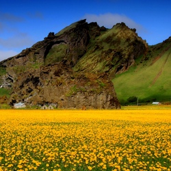 Пазл: Долина в цветах