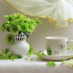 Пазл: Зеленые хризантемы