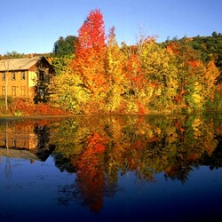 Пазл: Осенний вальс