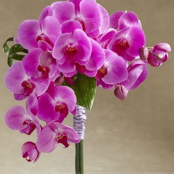 Пазл: Букет