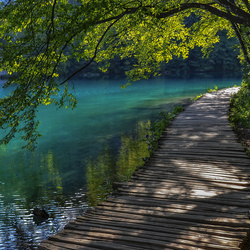 Пазл: Спасительная тень