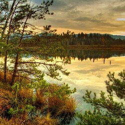 Пазл: Покой