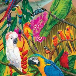 Пазл: Тропические птицы
