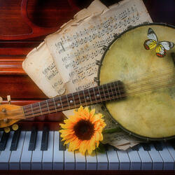 Пазл: Старое банджо на пианино