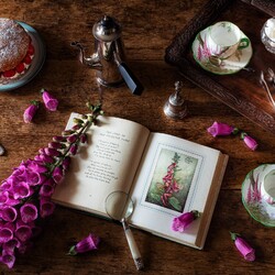 Пазл: Легендарная наперстянка