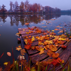 Пазл: Осень на реке