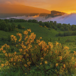 Пазл: Природа Кавказа
