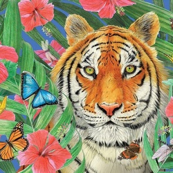 Пазл: Бенгальский тигр