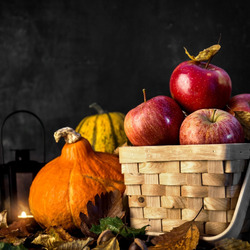 Пазл: Дары осени