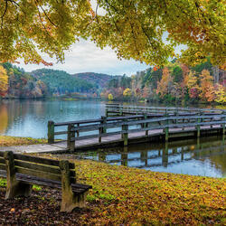Пазл: Осенняя скамейка у озера