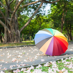 Пазл: Радужный зонт