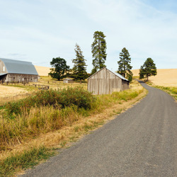 Пазл: Дорога в поле