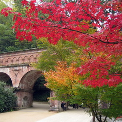 Пазл: Осень в японском саду